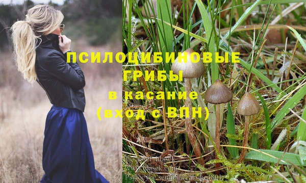 СК Нефтегорск