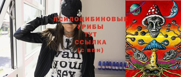 ГАЛЛЮЦИНОГЕННЫЕ ГРИБЫ Нефтекумск